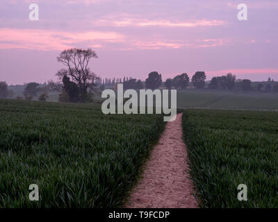 Eastchurch, Kent, Regno Unito. 18 Maggio, 2019. Regno Unito Meteo: questa sera al tramonto in Eastchurch, Kent. Credito: James Bell/Alamy Live News Foto Stock