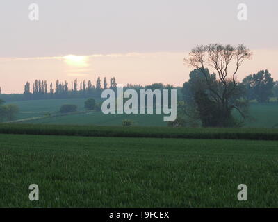 Eastchurch, Kent, Regno Unito. 18 Maggio, 2019. Regno Unito Meteo: questa sera al tramonto in Eastchurch, Kent. Credito: James Bell/Alamy Live News Foto Stock