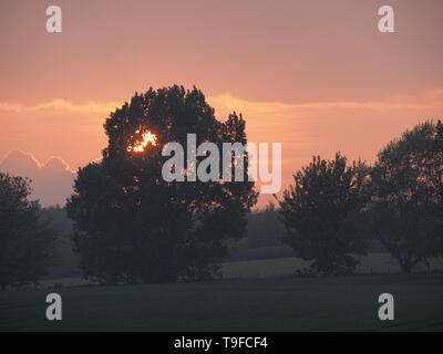 Eastchurch, Kent, Regno Unito. 18 Maggio, 2019. Regno Unito Meteo: questa sera al tramonto in Eastchurch, Kent. Credito: James Bell/Alamy Live News Foto Stock