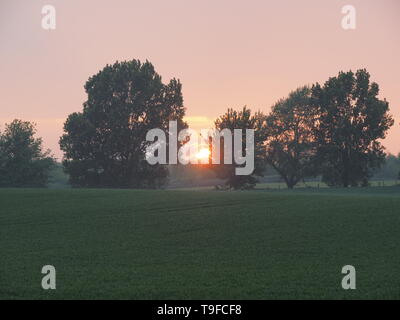 Eastchurch, Kent, Regno Unito. 18 Maggio, 2019. Regno Unito Meteo: questa sera al tramonto in Eastchurch, Kent. Credito: James Bell/Alamy Live News Foto Stock