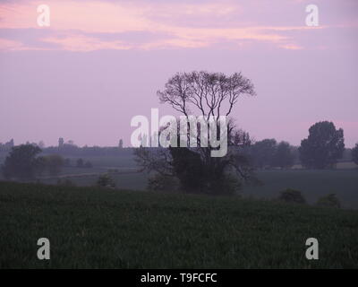 Eastchurch, Kent, Regno Unito. 18 Maggio, 2019. Regno Unito Meteo: questa sera al tramonto in Eastchurch, Kent. Credito: James Bell/Alamy Live News Foto Stock
