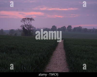 Eastchurch, Kent, Regno Unito. 18 Maggio, 2019. Regno Unito Meteo: questa sera al tramonto in Eastchurch, Kent. Credito: James Bell/Alamy Live News Foto Stock