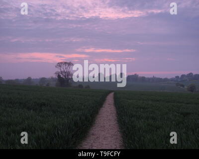 Eastchurch, Kent, Regno Unito. 18 Maggio, 2019. Regno Unito Meteo: questa sera al tramonto in Eastchurch, Kent. Credito: James Bell/Alamy Live News Foto Stock
