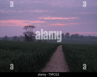 Eastchurch, Kent, Regno Unito. 18 Maggio, 2019. Regno Unito Meteo: questa sera al tramonto in Eastchurch, Kent. Credito: James Bell/Alamy Live News Foto Stock