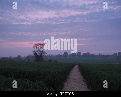 Eastchurch, Kent, Regno Unito. 18 Maggio, 2019. Regno Unito Meteo: questa sera al tramonto in Eastchurch, Kent. Credito: James Bell/Alamy Live News Foto Stock