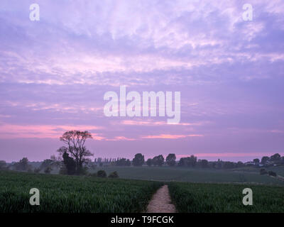 Eastchurch, Kent, Regno Unito. 18 Maggio, 2019. Regno Unito Meteo: questa sera al tramonto in Eastchurch, Kent. Credito: James Bell/Alamy Live News Foto Stock
