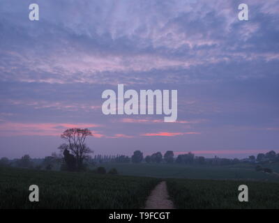 Eastchurch, Kent, Regno Unito. 18 Maggio, 2019. Regno Unito Meteo: questa sera al tramonto in Eastchurch, Kent. Credito: James Bell/Alamy Live News Foto Stock
