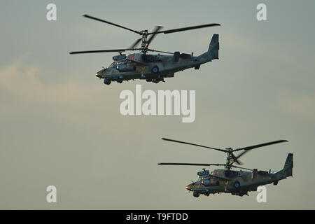 Krasnodar, Russia - Maggio 2019 elicottero Ka-52 Alligator NATO - Hokum B condurre i voli di addestramento. La macchina è in grado di colpire corazzati e veicoli unarmored, m Foto Stock