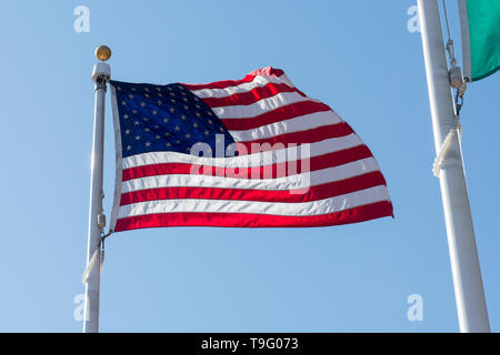 Bandiera degli Stati Uniti d'America, Stati Uniti d'America al vento su una bandiera bianca pole Foto Stock