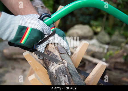 Segatura di legna da ardere manualmente con un seghetto a mano su una tavola di legno sawhorse Foto Stock