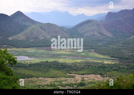 Green Valley View in colline di Kodaikanal Foto Stock