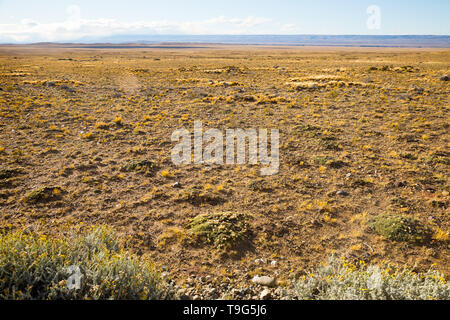 Viste della steppa paesaggio, natura della pampa sul giorno di estate. La Patagonia Argentina, Sud America Foto Stock