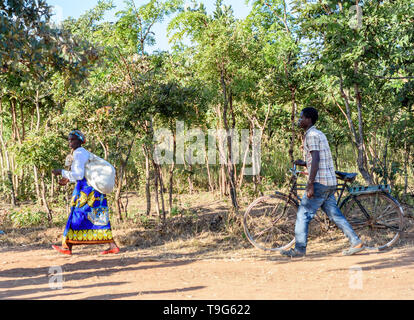 Un uomo cammina attraverso una zona boschiva in Malawi spingendo la sua bicicletta dietro una donna che porta un sacco sulla sua spalla Foto Stock