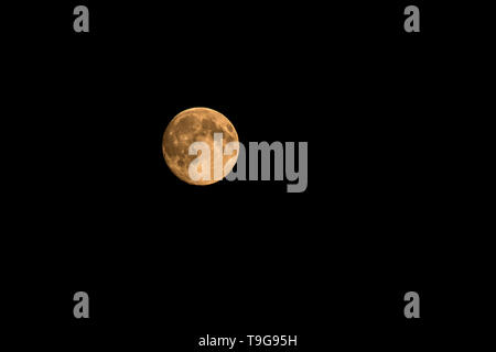 Big round luna nel cielo notturno Foto Stock