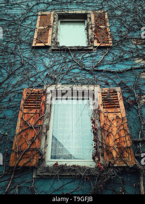 Due finestre in legno e blu texture muro a secco con piante che crescono sulla facciata di un vecchio edificio. Foto Stock
