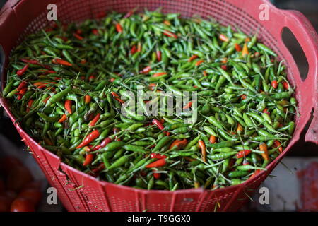Caldo fresco peperoncini verdi sul grosso cesto al mercato tradizionale Foto Stock