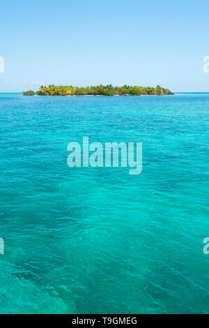 A nord lungo il Coco Plum Caye Belize Foto Stock