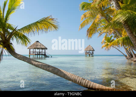 Piattaforme palapa, a nord lungo il Coco Plum Caye Belize Foto Stock