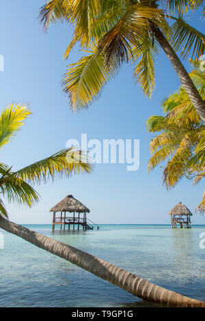 Piattaforme palapa, a nord lungo il Coco Plum Caye Belize Foto Stock