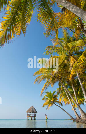 Piattaforma palapa, a nord lungo il Coco Plum Caye Belize Foto Stock