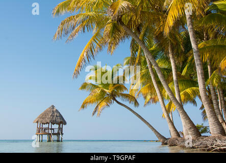 Piattaforma palapa, a nord lungo il Coco Plum Caye Belize Foto Stock