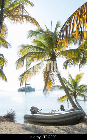 A nord lungo il Coco Plum Caye Belize Foto Stock