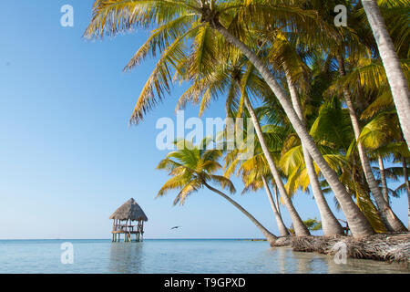 Piattaforma palapa, a nord lungo il Coco Plum Caye Belize Foto Stock