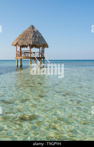 Piattaforma palapa, a nord lungo il Coco Plum Caye Belize Foto Stock