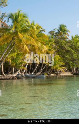 A nord lungo il Coco Plum Caye Belize Foto Stock