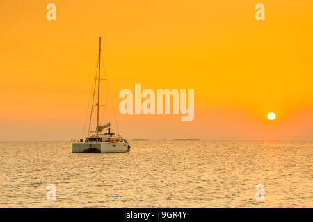 Crociera in catamarano a nord lungo il Coco Plum Caye Belize Foto Stock