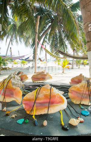 Conch gusci e gioielli , Caye Caulker, Belize Foto Stock