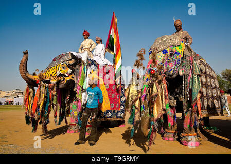 Festival di elefante, Jaipur, India Foto Stock