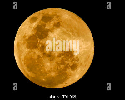 Luna piena un colpo chiaro sul cielo scuro. Foto Stock