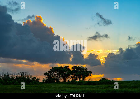 Tramonto sul fiume Magra Isolotto del Nord del Queensland Foto Stock