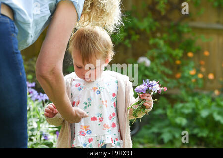 Giovane ragazza bimbo di due anni e mezzo di età posie prelievo di fiori da giardino con sua nonna fotografia scattata da Simon Dack Foto Stock