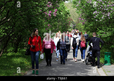 5 maggio 2019 - Kiev, Kiev, Ucraina - Visitatori visto all'Hryshko Giardino Botanico Nazionale..Hryshko National Botanical Garden è un giardino botanico dell'Accademia Nazionale delle Scienze di Ucraina. Esso contiene 13.000 tipi di alberi, arbusti, fiori ed altre piante provenienti da tutto il mondo e il giardino botanico è in grado di colpire con più di 350 specie di orchidee. (Credito Immagine: © MOHAMMAD JAVAD Abjoushak/SOPA immagini via ZUMA filo) Foto Stock