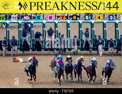 18 maggio 2019 - Baltimore, MD, Stati Uniti - 18 Maggio 2019 : l'inizio dell'144Preakness Stakes con Bodexpress #9 e jockey John Velazquez separarsi all'inizio. Velazquez cadde a terra e rimasti indenni. Bodexpress correva la gara senza il suo pilota. La guerra di volontà #1, cavalcato da Tyler Gaffalione, è andato a vincere il Preakness Stakes di Pimlico Race Course di Baltimora, Maryland. John Voorhees/Eclipse Sportswire/CSM Foto Stock