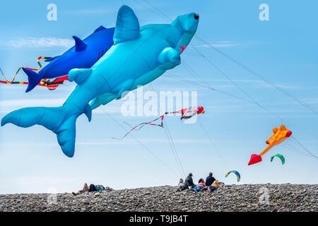 Condino, Devon, Regno Unito. Il 19 maggio 2019. In un ambiente luminoso e breezy day in North Devon le condizioni risultare perfetto per il Condino Il kite festival, la gente di disegno per la costa per godere il display a colori di aquiloni unico dotato di tutte le forme e dimensioni. Credito: Terry Mathews/Alamy Live News Foto Stock