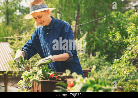 Donna piantare fiori nelle caselle sul patio ringhiere Foto Stock