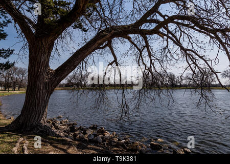 Kansas lago di pesca con alberi Foto Stock