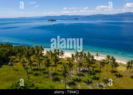 Visto dall'occhio di un uccello, palme di cocco di crescere in una remota isola nel Parco Nazionale di Komodo, Indonesia. Foto Stock