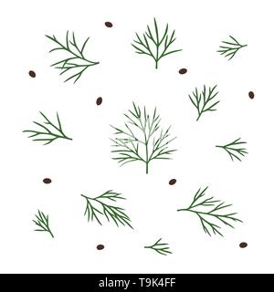 Disegnato a mano isolato di aneto. Modello per la progettazione di opere. Illustrazione Vettoriale