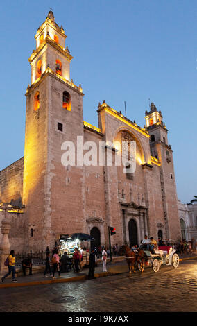 Merida cattedrale o Duomo di Merida illuminate al tramonto, la città di Merida Yucatan Messico America Latina Foto Stock