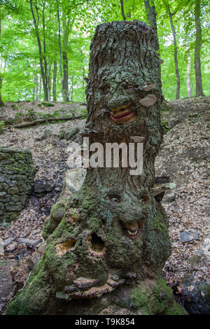Facce scolpita in un ceppo di albero, Steckeschlääfer-Klamm, Binger foresta, Bingen sul Reno, Renania-Palatinato, Germania Foto Stock