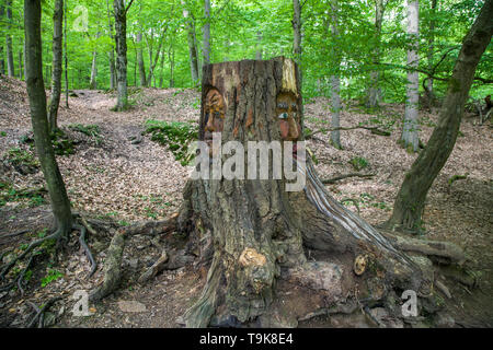 Facce scolpita in un ceppo di albero, Steckeschlääfer-Klamm, Binger foresta, Bingen sul Reno, Renania-Palatinato, Germania Foto Stock