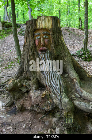 Volto scolpito in un ceppo di albero, Steckeschlääfer-Klamm, Binger foresta, Bingen sul Reno, Renania-Palatinato, Germania Foto Stock