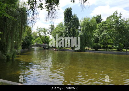 Giardini Cismigiu o Parco Cismigiu sono un parco pubblico vicino al centro di Bucarest, Romania Foto Stock