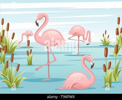 Gruppo di fenicotteri rosa in piedi in acqua. Il lago verde con canne. Soggiorno di uccelli nel lago. Appartamento illustrazione vettoriale sul cielo blu con nuvole sfondo. Illustrazione Vettoriale