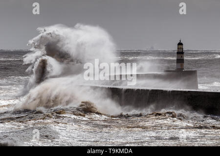 Può la tempesta, big wave, Seaham, Durham Foto Stock