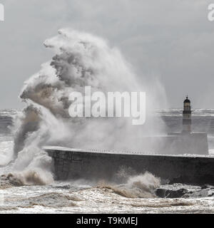 Può la tempesta, big wave, Seaham, Durham Foto Stock